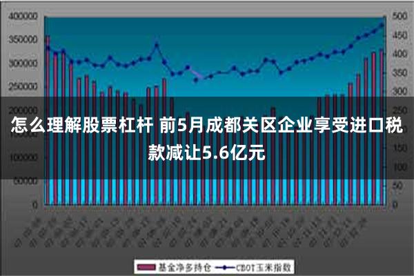 怎么理解股票杠杆 前5月成都关区企业享受进口税款减让5.6亿元