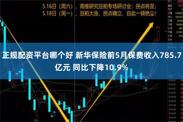 正规配资平台哪个好 新华保险前5月保费收入785.7亿元 同比下降10.9%