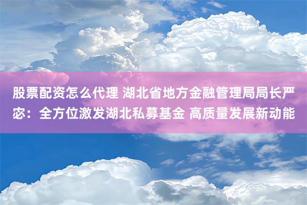 股票配资怎么代理 湖北省地方金融管理局局长严宓：全方位激发湖北私募基金 高质量发展新动能