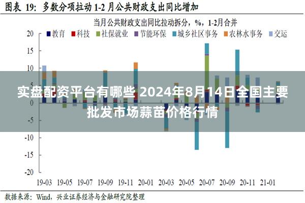 实盘配资平台有哪些 2024年8月14日全国主要批发市场蒜苗价格行情