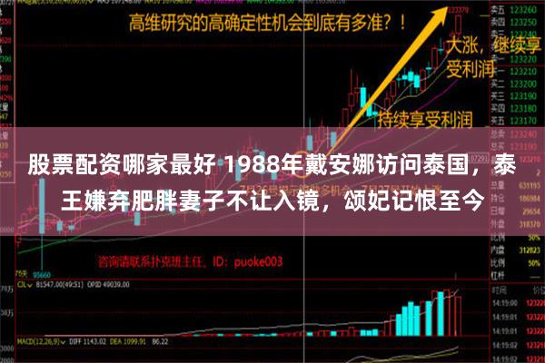 股票配资哪家最好 1988年戴安娜访问泰国，泰王嫌弃肥胖妻子不让入镜，颂妃记恨至今