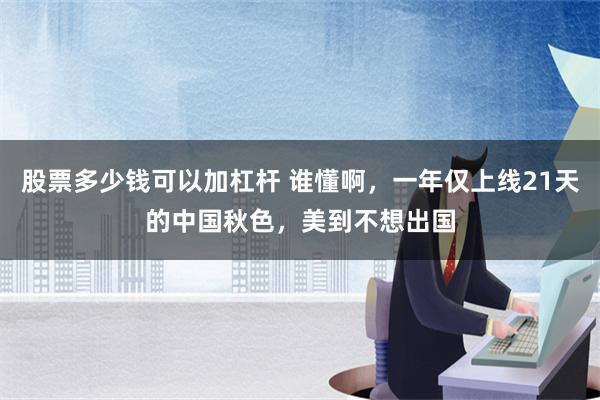 股票多少钱可以加杠杆 谁懂啊，一年仅上线21天的中国秋色，美到不想出国