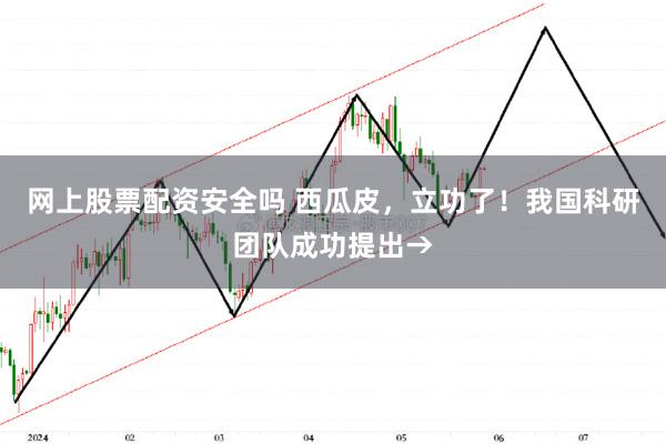 网上股票配资安全吗 西瓜皮，立功了！我国科研团队成功提出→