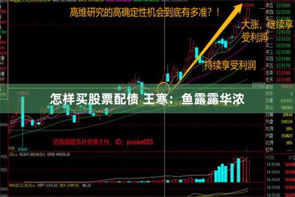 怎样买股票配债 王寒：鱼露露华浓