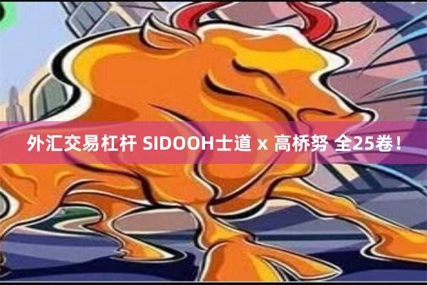 外汇交易杠杆 SIDOOH士道 x 高桥努 全25卷！