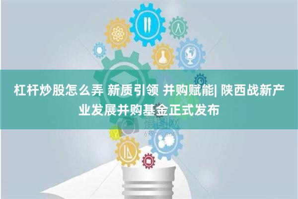 杠杆炒股怎么弄 新质引领 并购赋能| 陕西战新产业发展并购基金正式发布