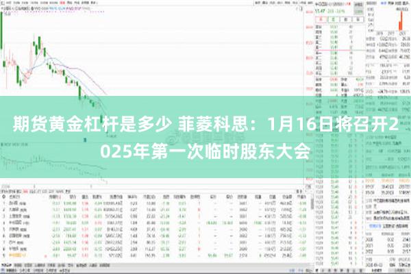 期货黄金杠杆是多少 菲菱科思：1月16日将召开2025年第一次临时股东大会