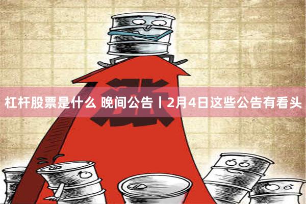 杠杆股票是什么 晚间公告丨2月4日这些公告有看头