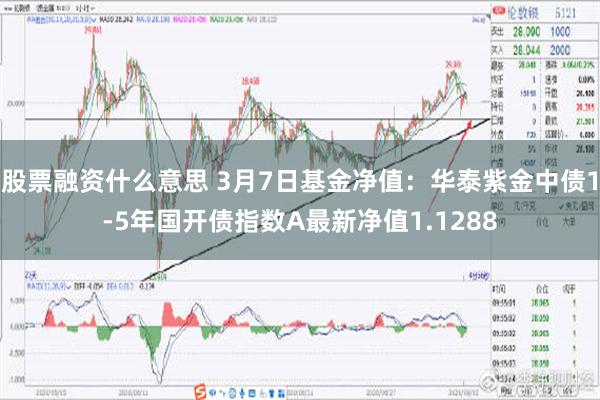 股票融资什么意思 3月7日基金净值：华泰紫金中债1-5年国开债指数A最新净值1.1288